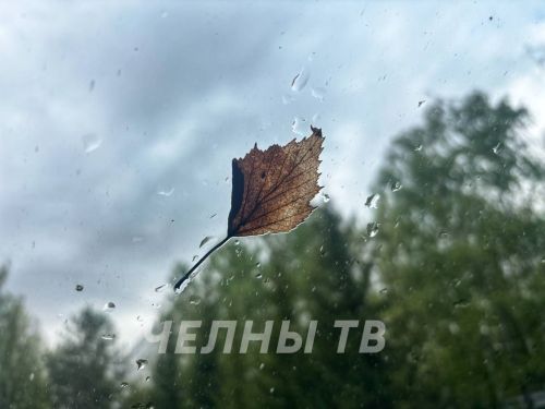Непогода в Татарстане: предстоящий день принесет дожди и порывистый ветер
